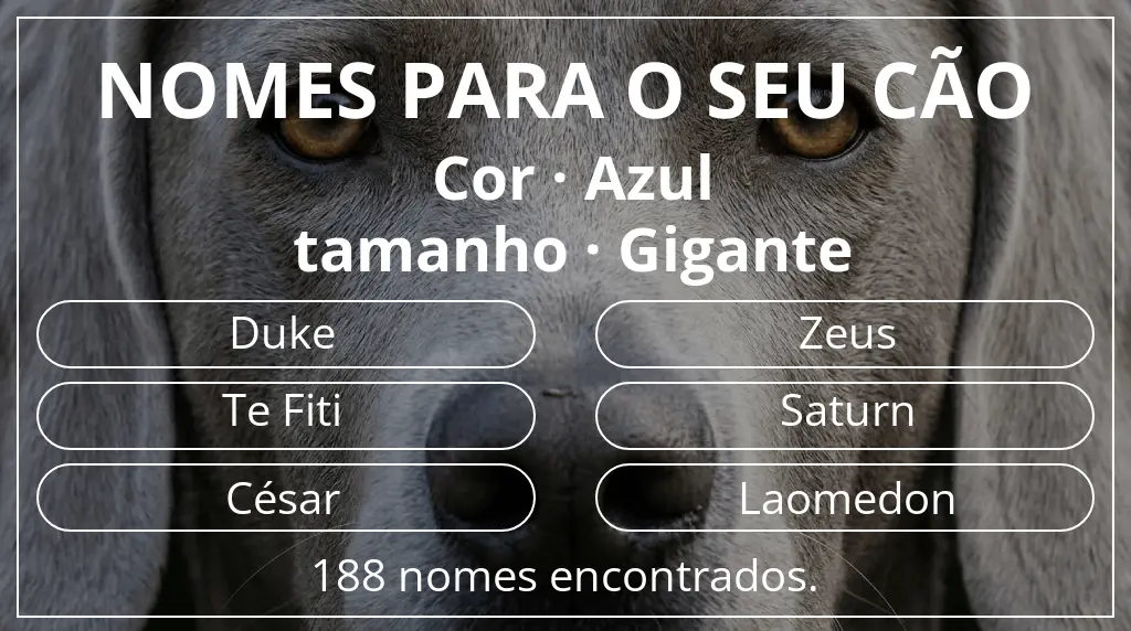Nomes para cães com inspiração em cor azul e tamanho gigante