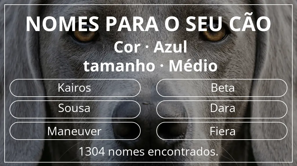 Nomes caninos baseados em cor azul e tamanho médio