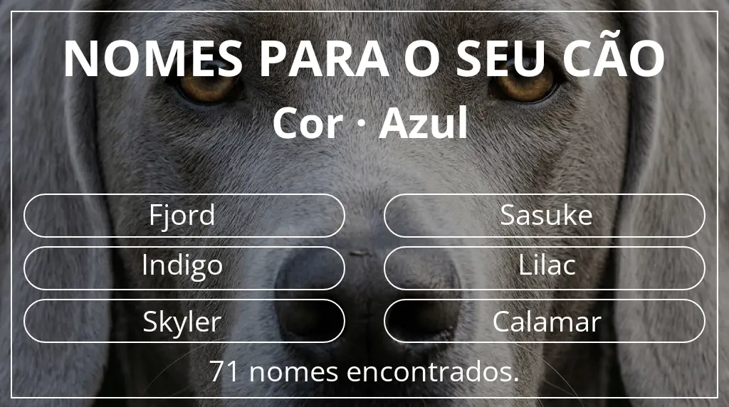Nomes para cães segundo cor azul