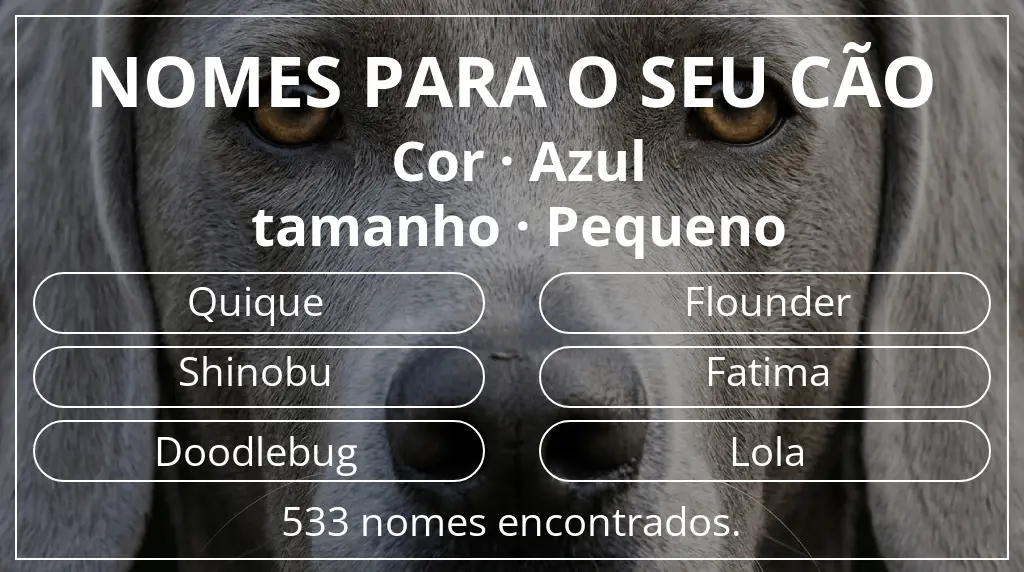 Nomes para cães segundo cor azul e tamanho pequeno