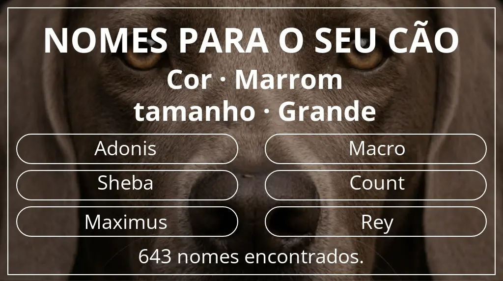 Nomes caninos com inspiração em cor marrom e tamanho grande