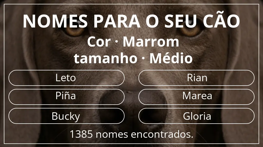 Nomes caninos baseados em cor marrom e tamanho médio