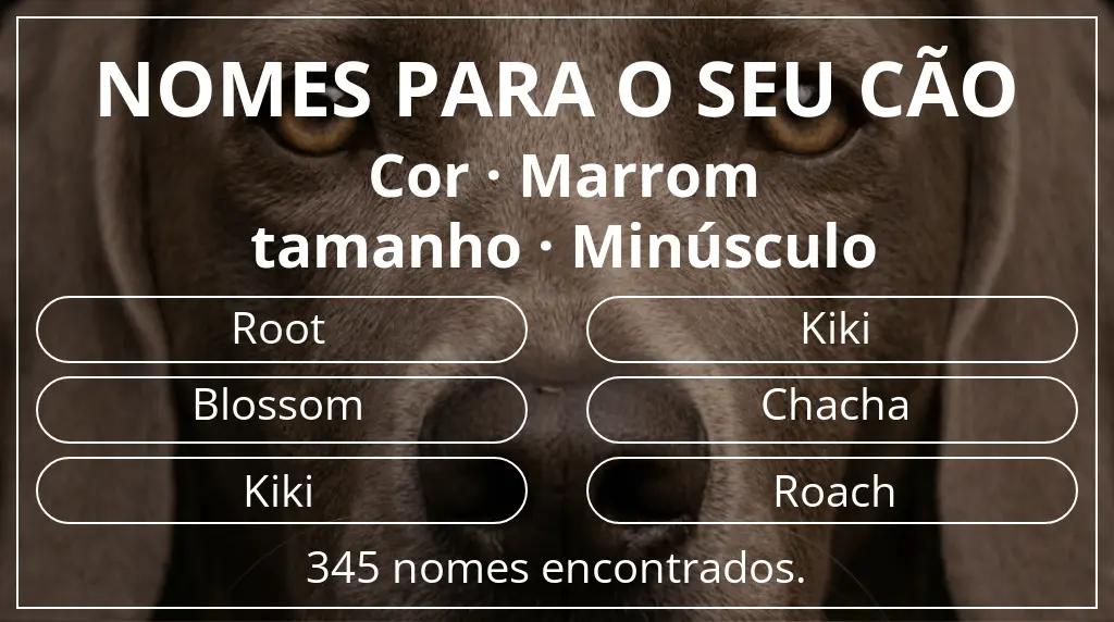 Nomes para cães segundo cor marrom e tamanho minúsculo