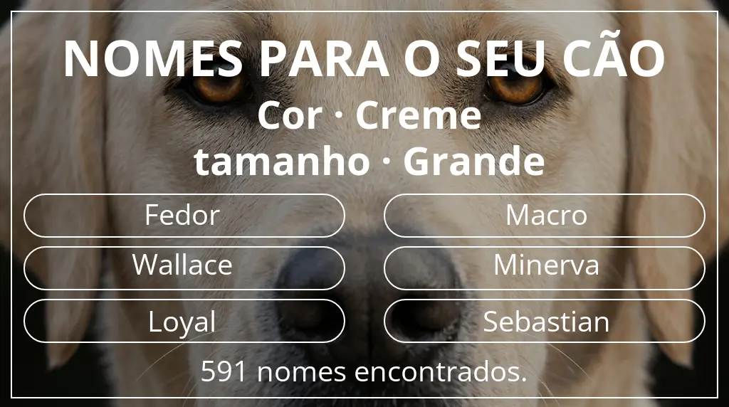 Nomes caninos baseados em cor creme e tamanho grande