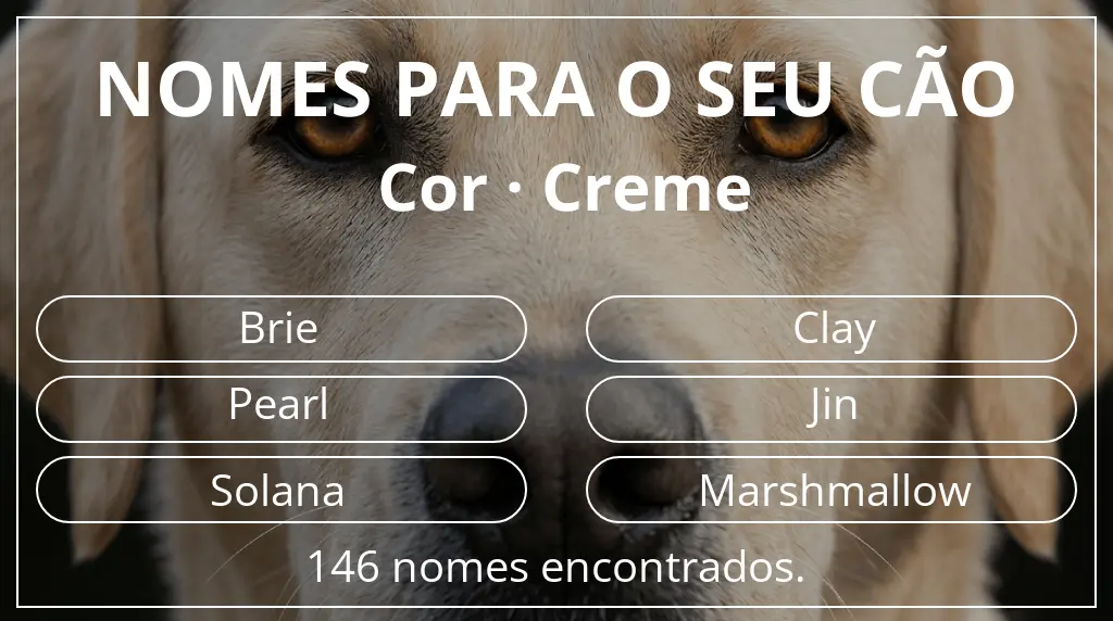 Nomes caninos com inspiração em cor creme