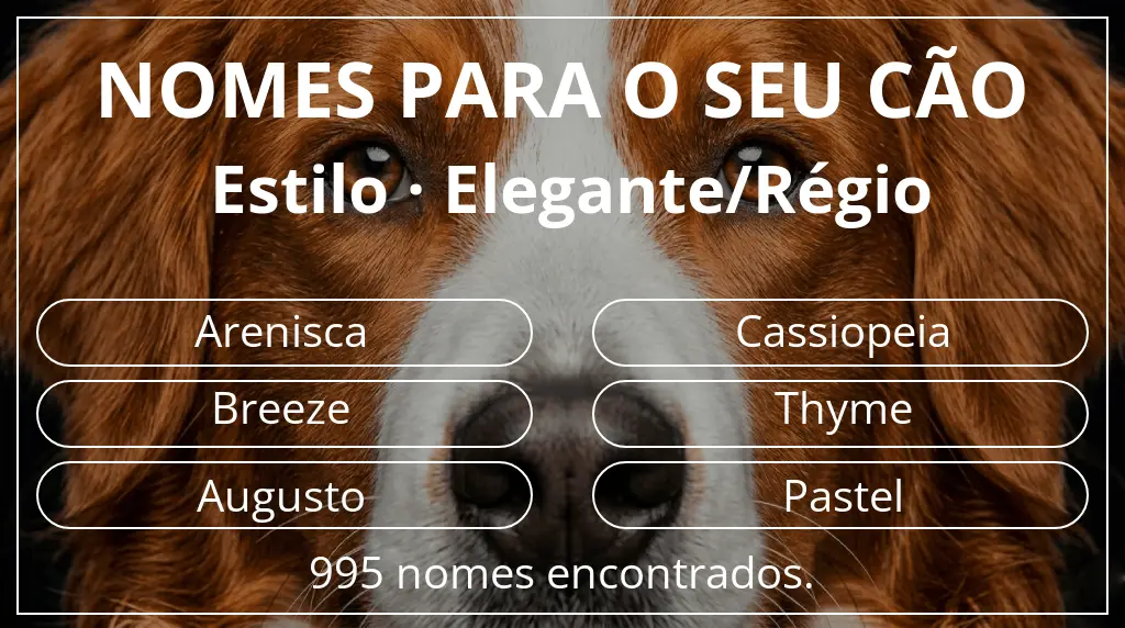 Nomes caninos com inspiração em estilo elegante/régio