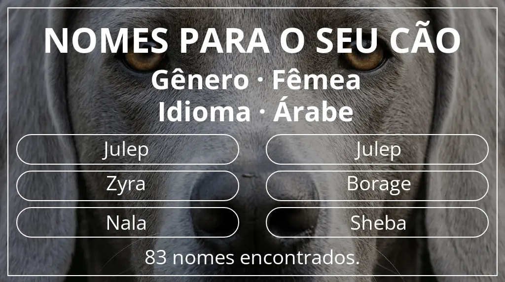 Nomes caninos com inspiração em gênero fêmea e idioma árabe