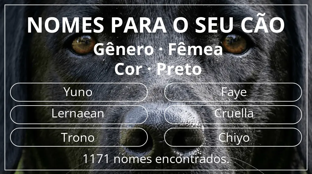 Nomes para cães segundo gênero fêmea e cor preto