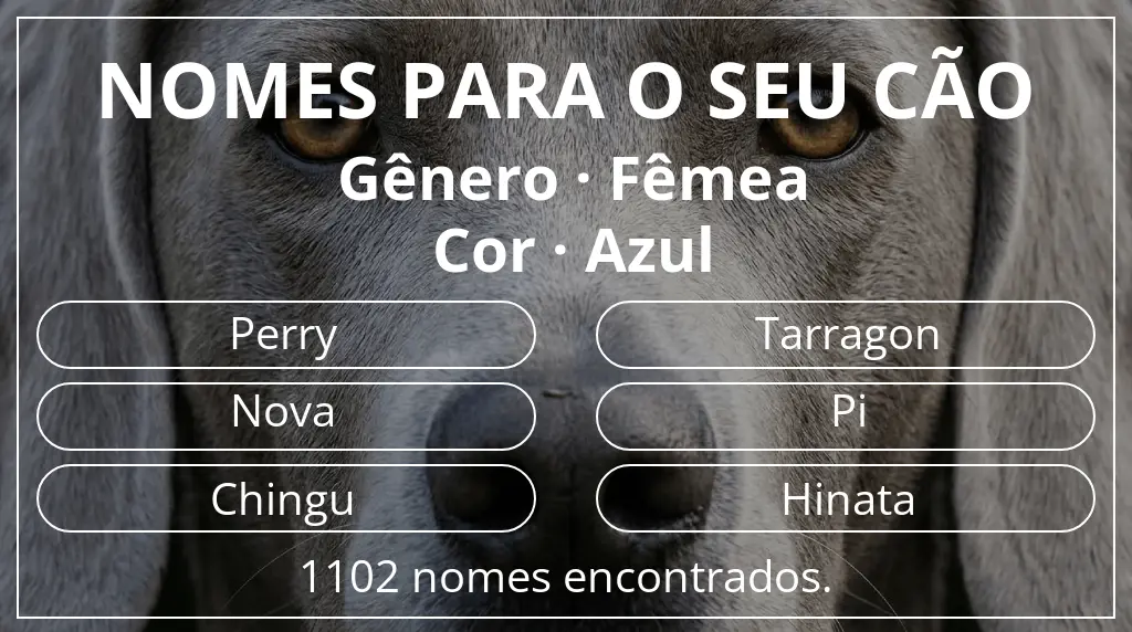 Nomes caninos com inspiração em gênero fêmea e cor azul