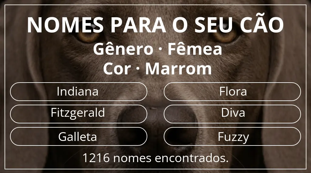 Nomes para cães com inspiração em gênero fêmea e cor marrom