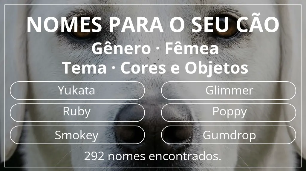 Nomes caninos baseados em gênero fêmea e tema cores e objetos