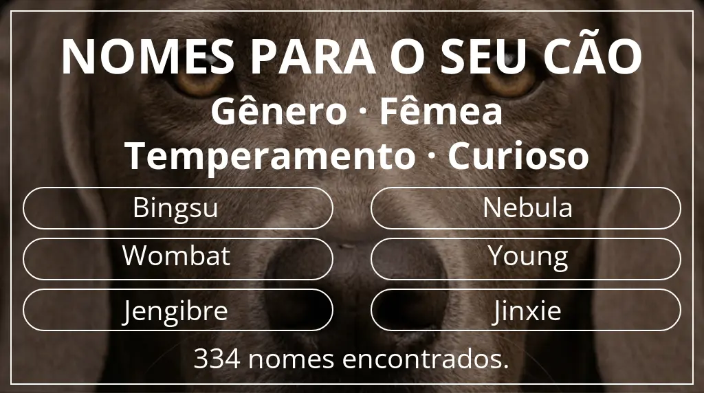 Nomes para cães segundo gênero fêmea e temperamento curioso