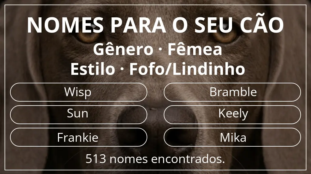 Nomes caninos com inspiração em gênero fêmea e estilo fofo/lindinho