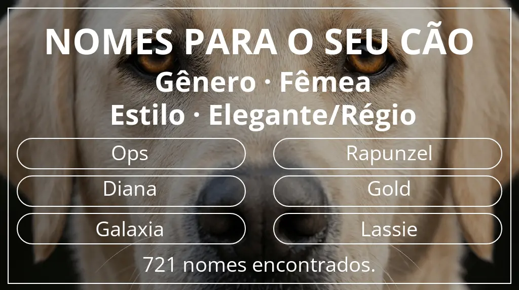Nomes caninos com inspiração em gênero fêmea e estilo elegante/régio