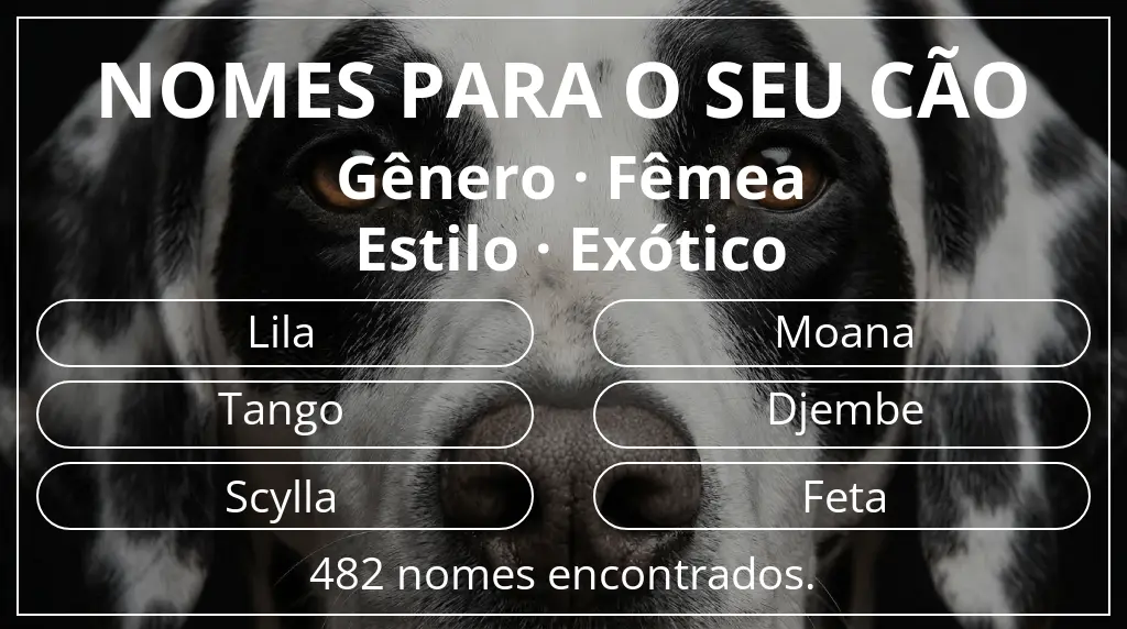 Nomes para cães segundo gênero fêmea e estilo exótico