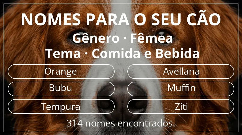 Nomes caninos com inspiração em gênero fêmea e tema comida e bebida