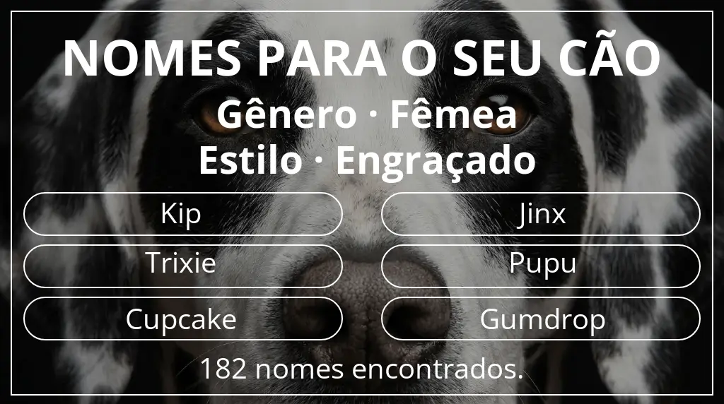 Nomes para cães com inspiração em gênero fêmea e estilo engraçado