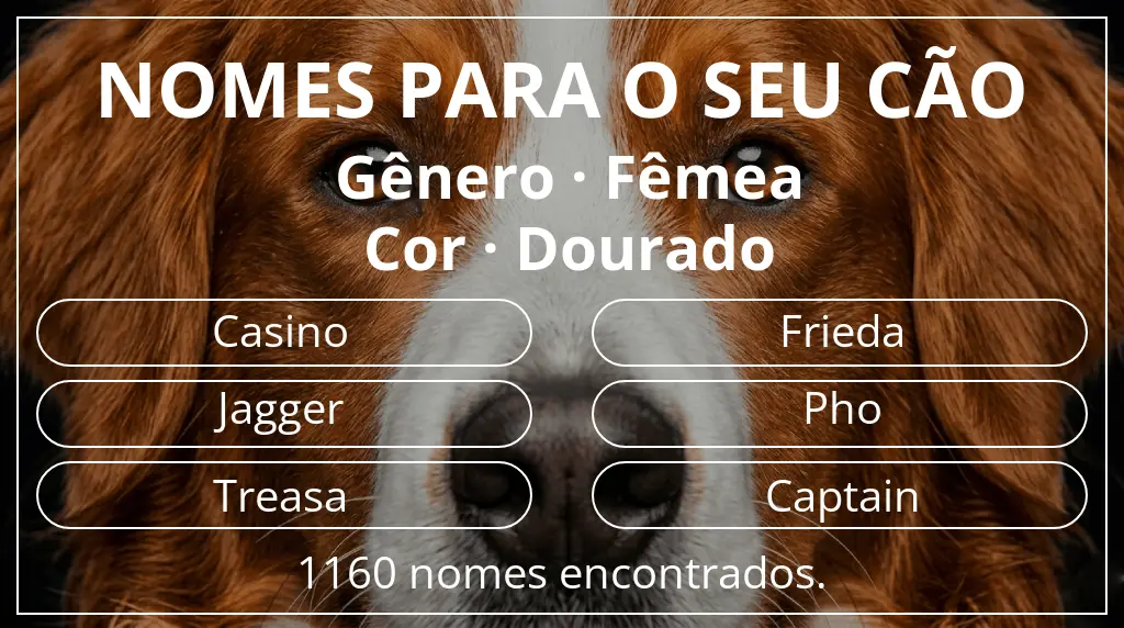 Nomes para cães com inspiração em gênero fêmea e cor dourado
