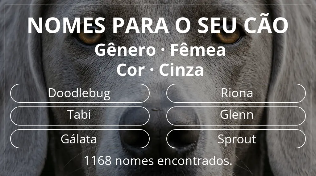 Nomes para cães com inspiração em gênero fêmea e cor cinza