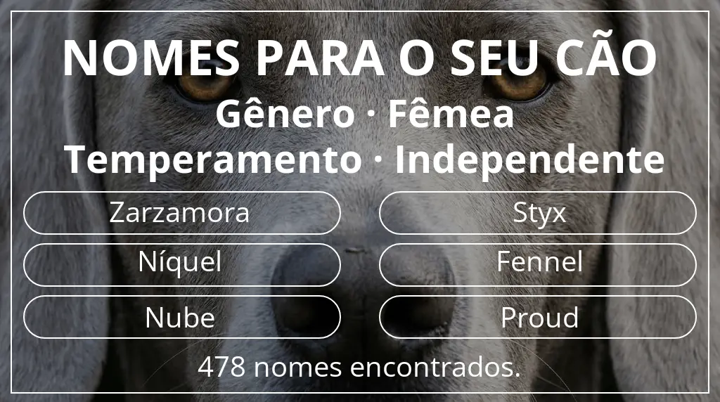Nomes para cães segundo gênero fêmea e temperamento independente