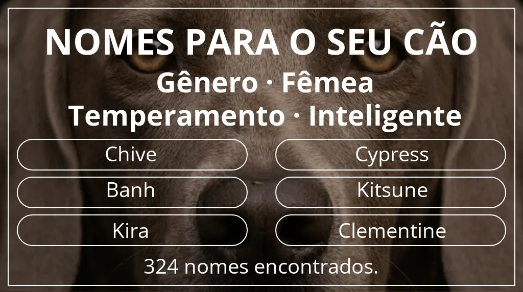 Nomes para cães com inspiração em gênero fêmea e temperamento inteligente