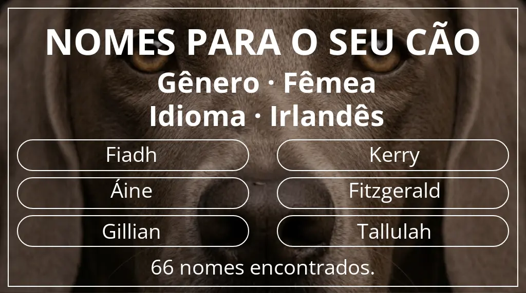 Nomes caninos com inspiração em gênero fêmea e idioma irlandês