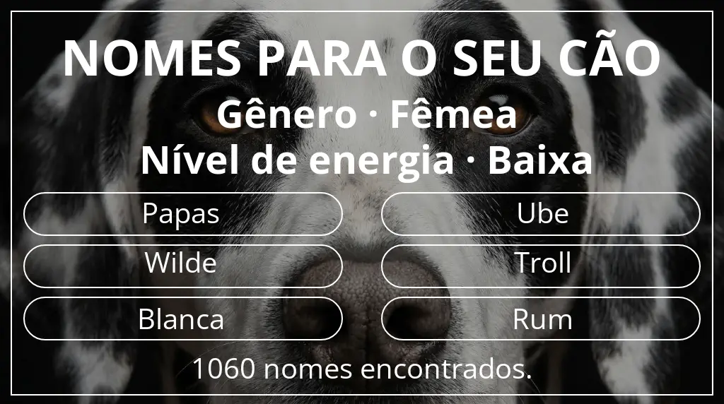Nomes para cães baseados em gênero fêmea e nível de energia baixa