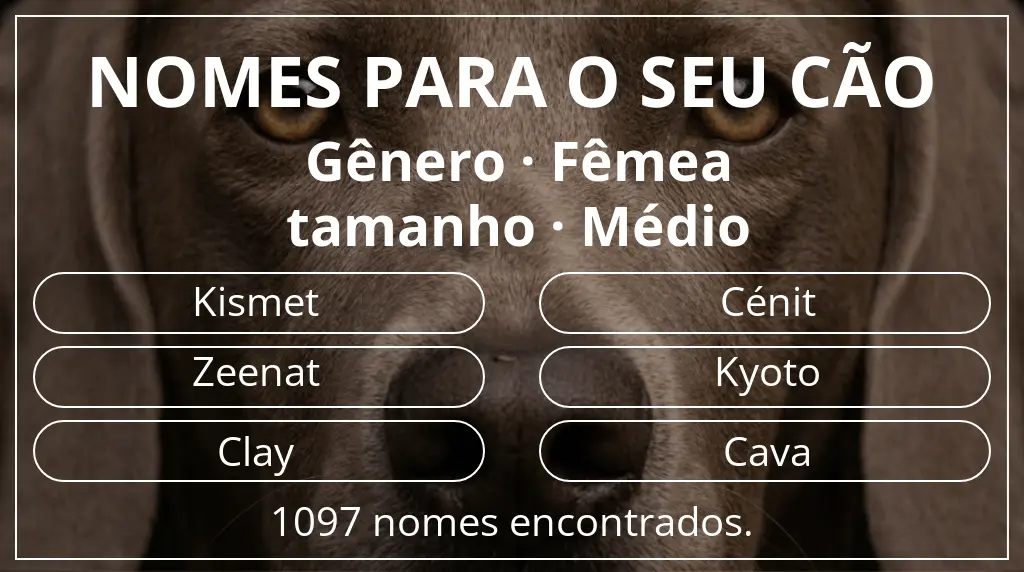 Nomes caninos segundo gênero fêmea e tamanho médio