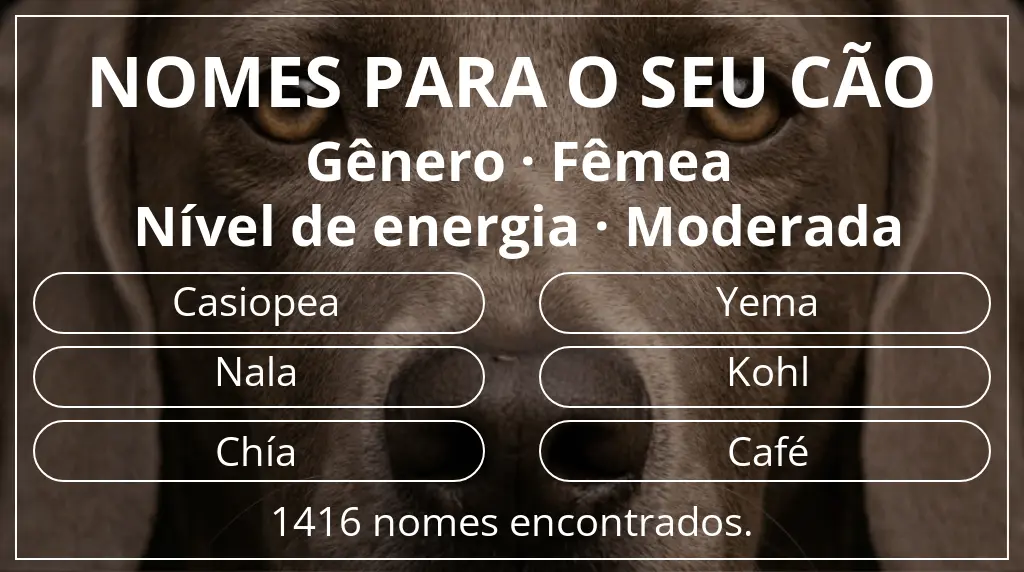 Nomes para cães com inspiração em gênero fêmea e nível de energia moderada