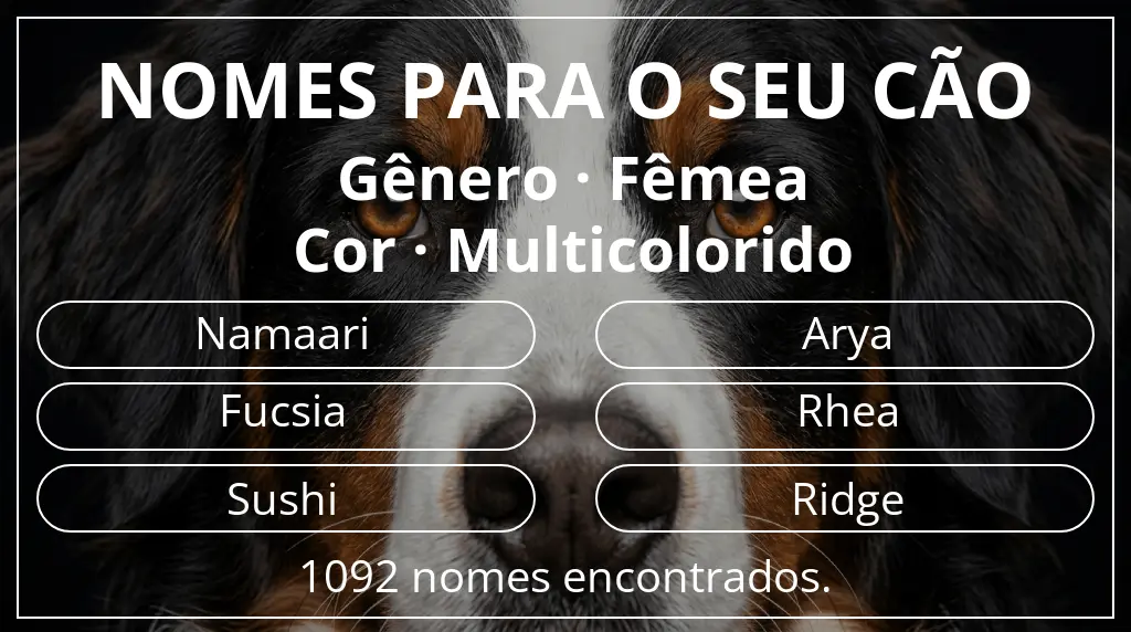Nomes para cães segundo gênero fêmea e cor multicolorido