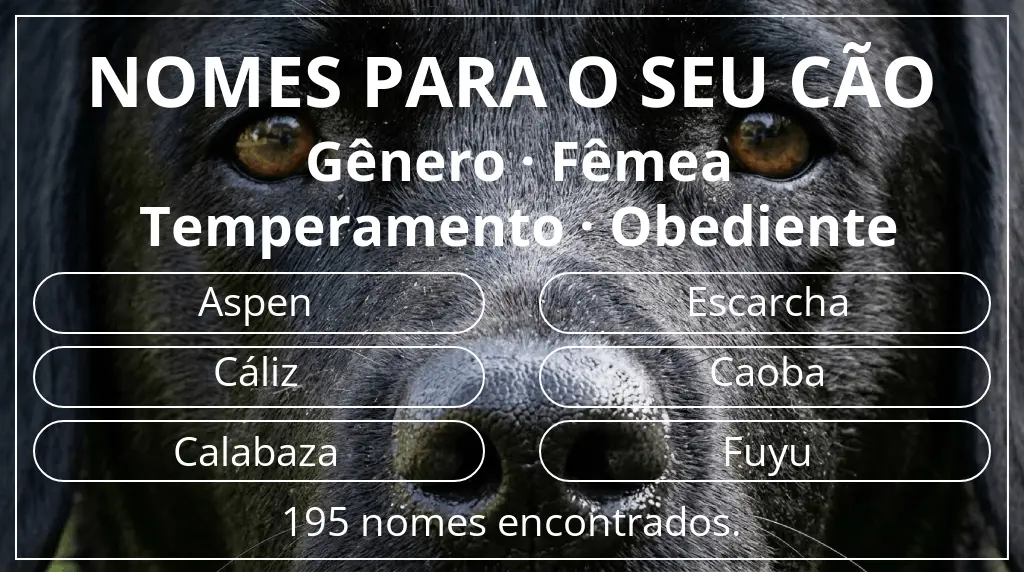Nomes caninos com inspiração em gênero fêmea e temperamento obediente