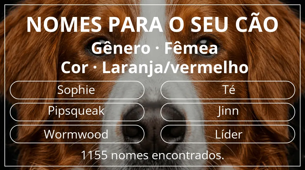 Nomes para cães segundo gênero fêmea e cor laranja/vermelho