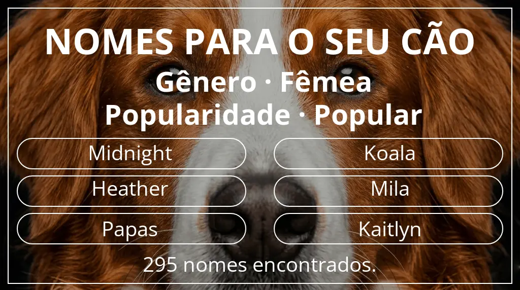 Nomes caninos com inspiração em gênero fêmea e popularidade popular