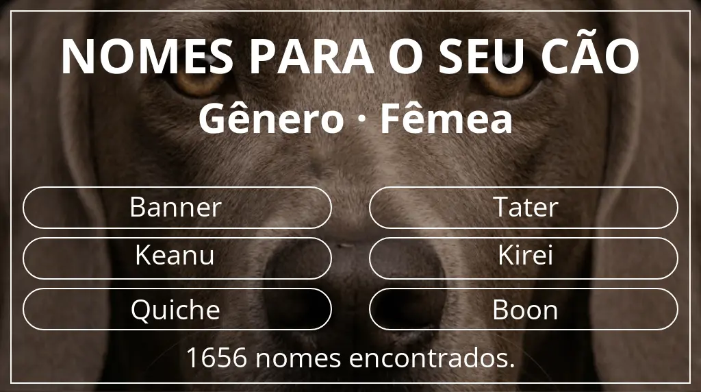 Nomes caninos segundo gênero fêmea