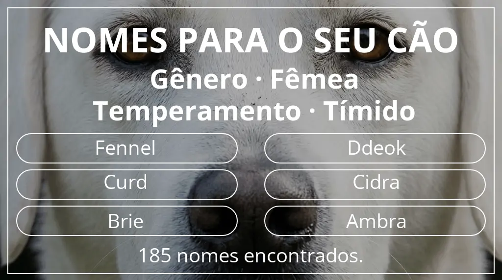 Nomes caninos com inspiração em gênero fêmea e temperamento tímido