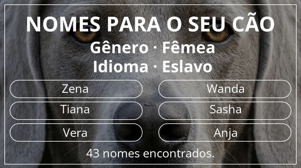 Nomes caninos com inspiração em gênero fêmea e idioma eslavo
