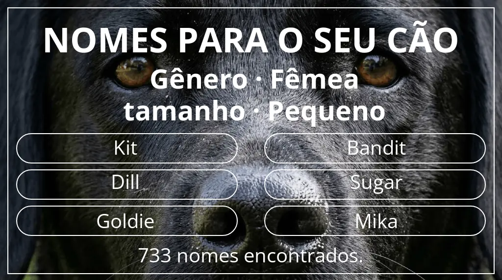 Nomes para cães com inspiração em gênero fêmea e tamanho pequeno