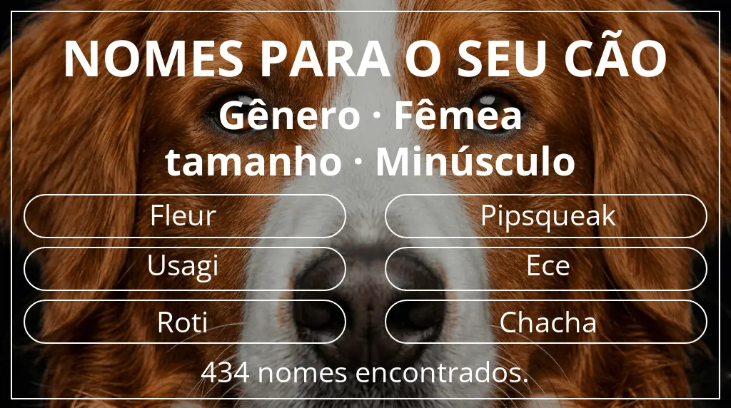 Nomes caninos baseados em gênero fêmea e tamanho minúsculo