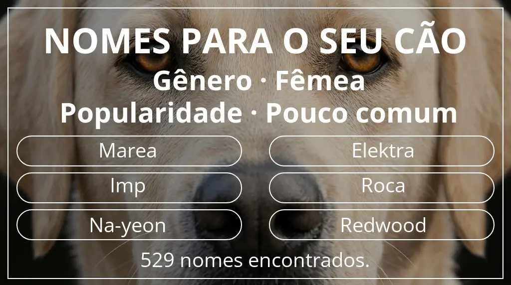 Nomes para cães com inspiração em gênero fêmea e popularidade pouco comum