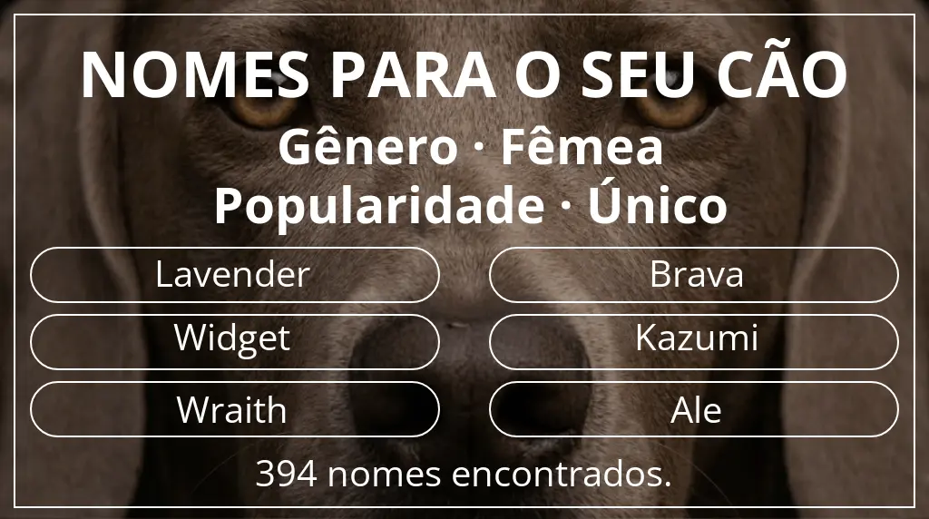 Nomes para cães baseados em gênero fêmea e popularidade único