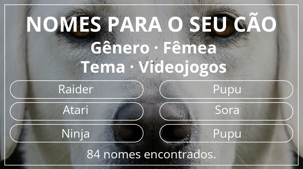 Nomes caninos segundo gênero fêmea e tema videojogos