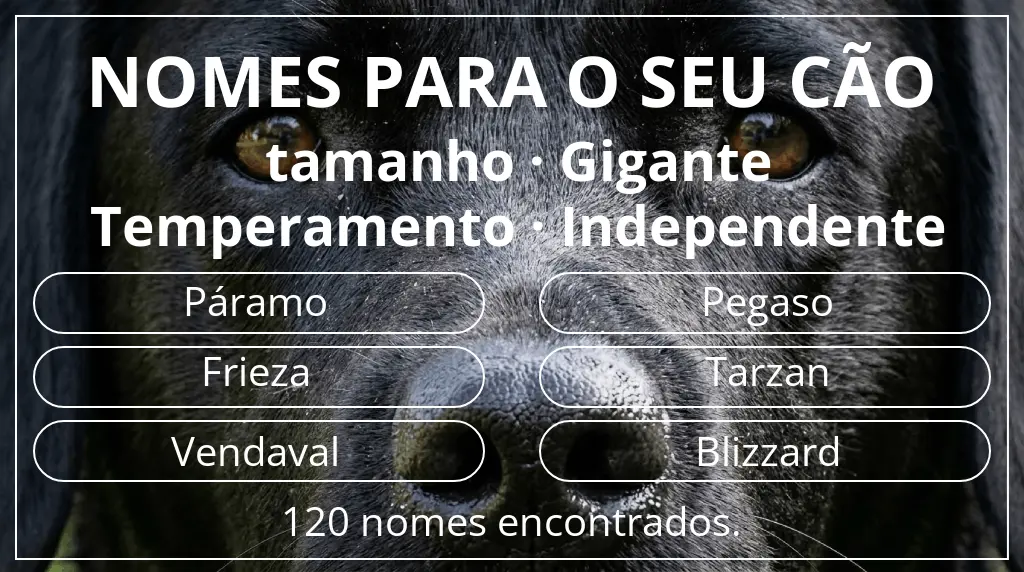 Nomes caninos baseados em tamanho gigante e temperamento independente