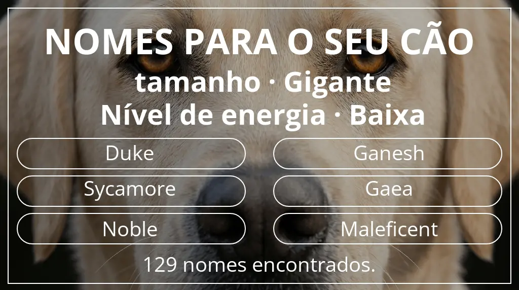 Nomes para cães baseados em tamanho gigante e nível de energia baixa