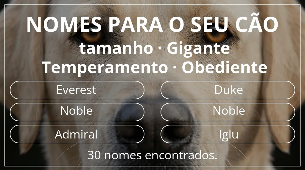 Nomes caninos com inspiração em tamanho gigante e temperamento obediente