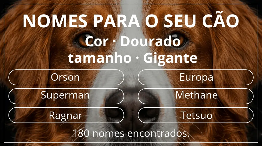 Nomes para cães com inspiração em cor dourado e tamanho gigante