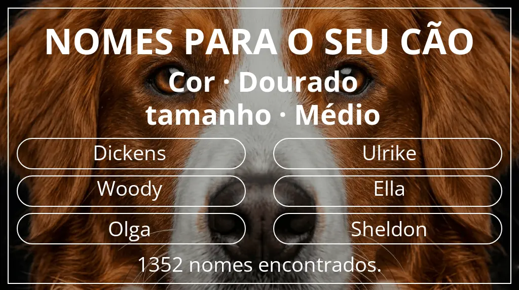 Nomes para cães baseados em cor dourado e tamanho médio
