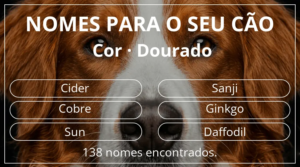 Nomes para cães com inspiração em cor dourado