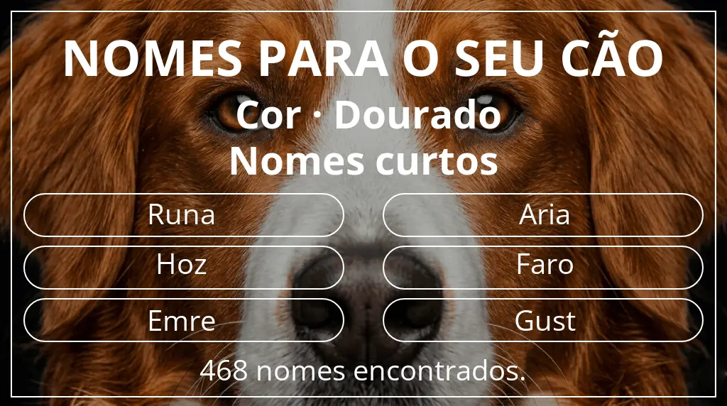 Nomes caninos com inspiração em cor dourado e comprimento do nome curto (2–4)