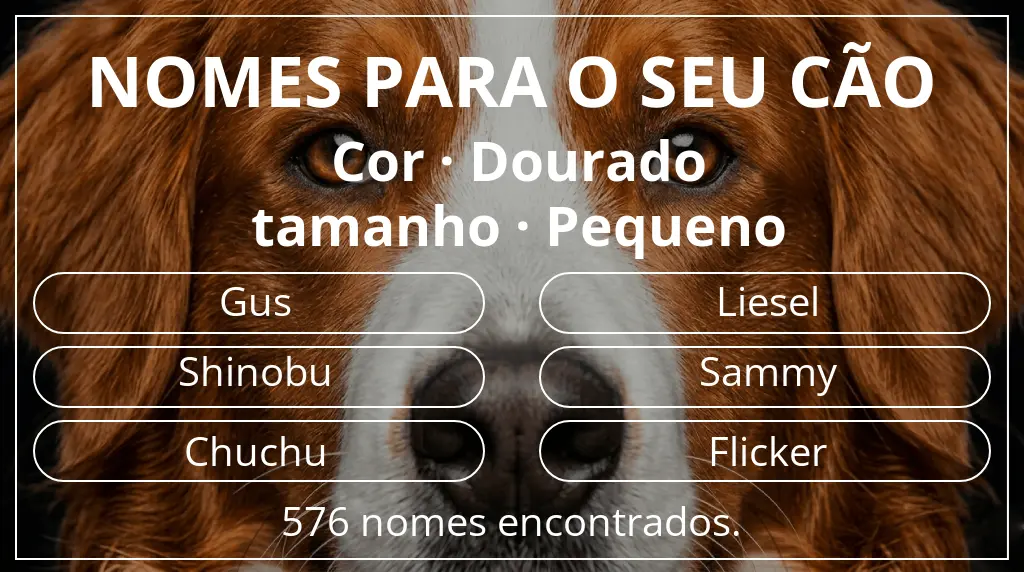Nomes para cães segundo cor dourado e tamanho pequeno