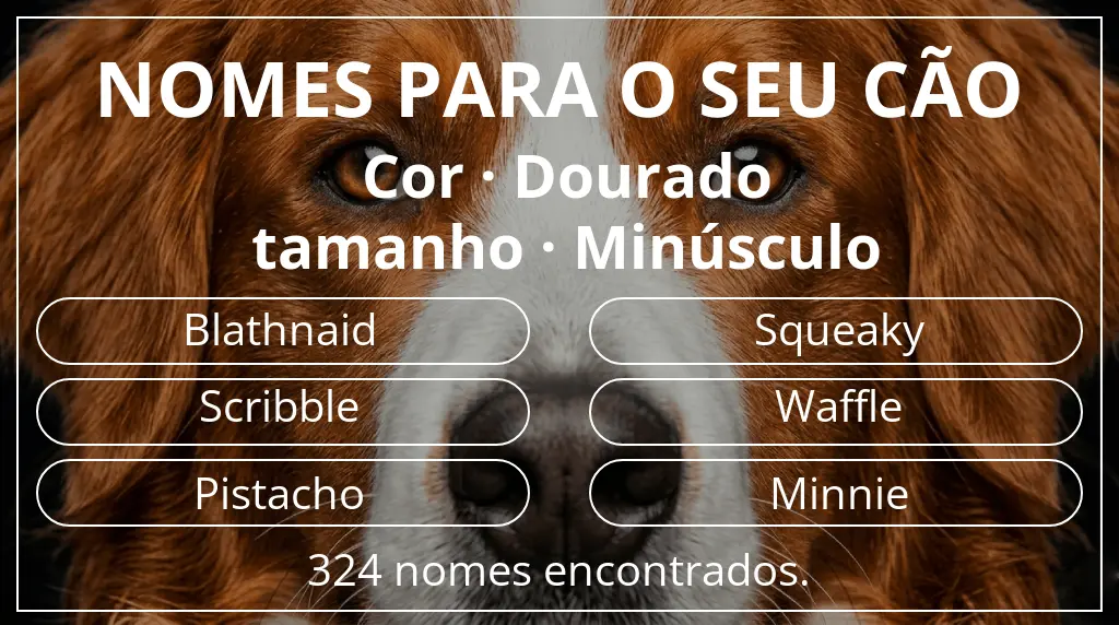Nomes para cães com inspiração em cor dourado e tamanho minúsculo